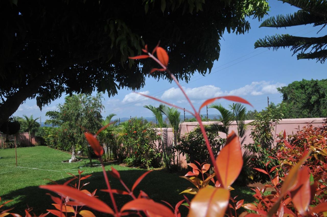 Victoria Lake View Guesthouse & Safaris Entebbe Exteriér fotografie