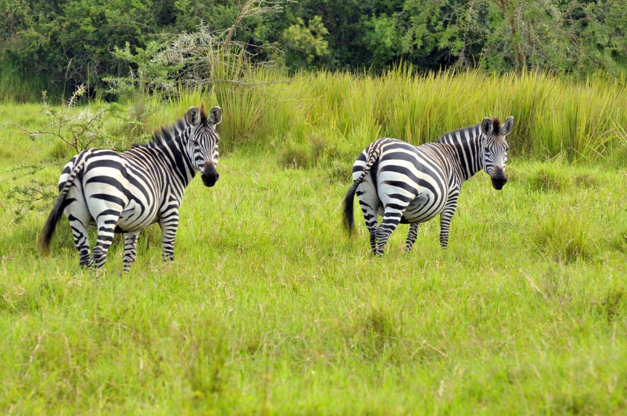 Victoria Lake View Guesthouse & Safaris Entebbe Exteriér fotografie